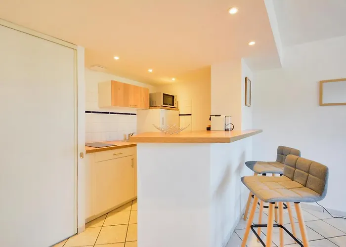 公寓 Les Cosy De La Taniere De La Porte Verte 4etoiles